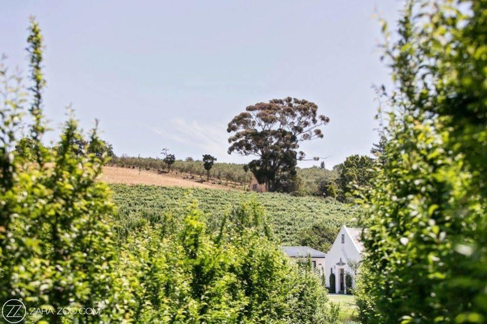 Hotel Brenaissance Wine & Stud Estate Municipalità locale di Municipalità locale di Stellenbosch Esterno foto