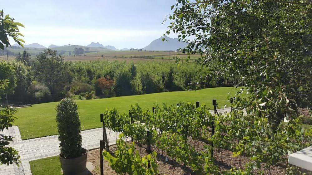 Hotel Brenaissance Wine & Stud Estate Municipalità locale di Municipalità locale di Stellenbosch Esterno foto